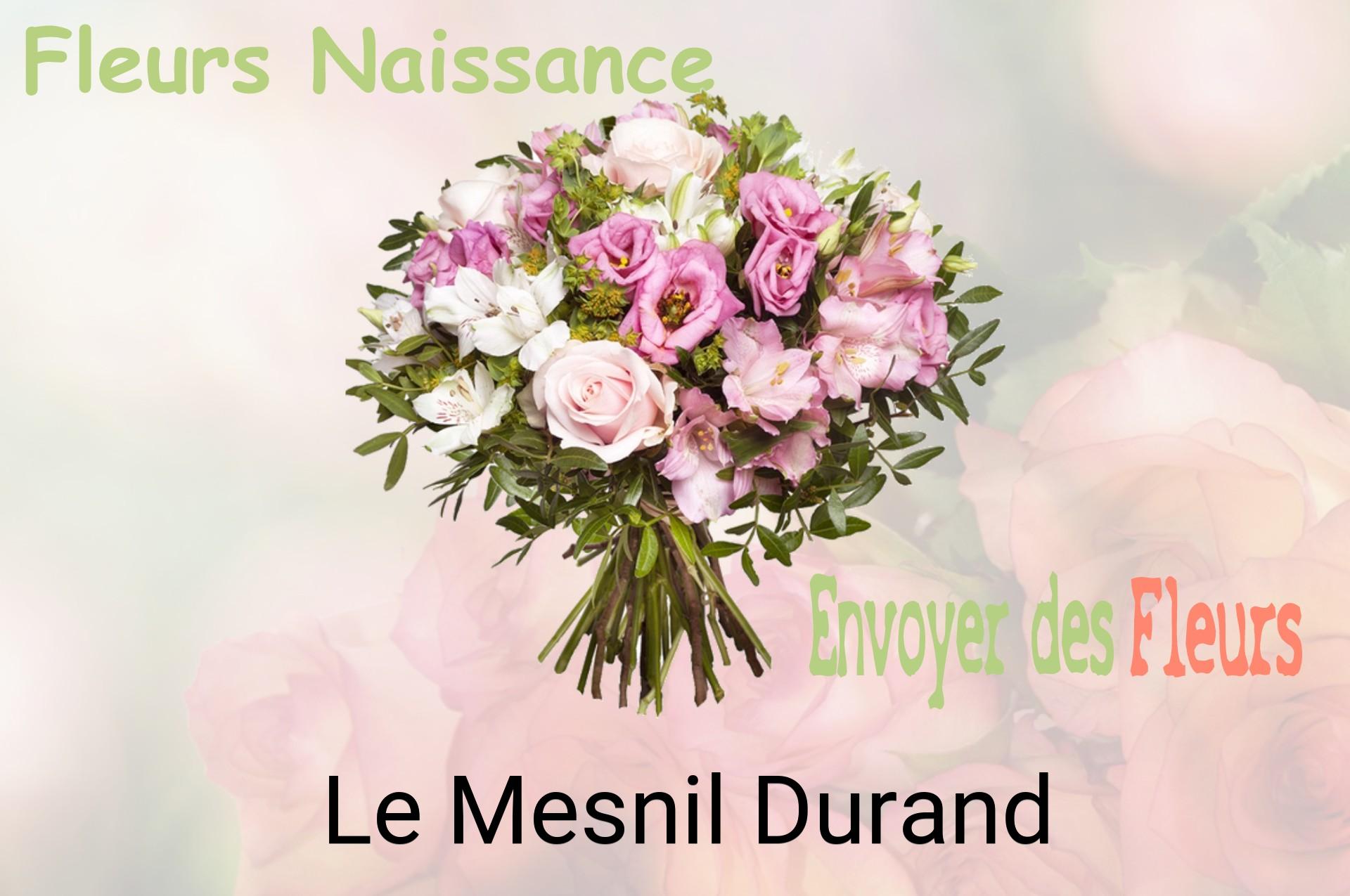 Bouquet de fleurs de naissance livré à Le Mesnil-Durand